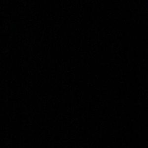 Meet your Posher, Rosa